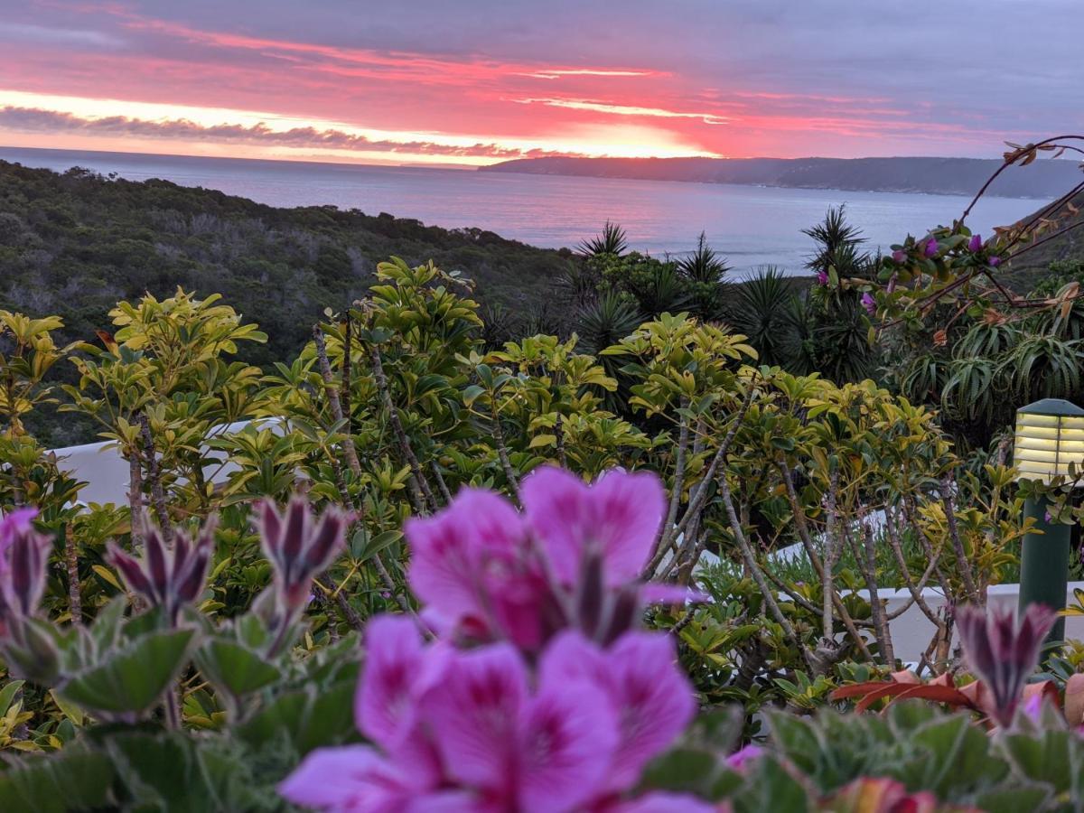 Villa Cape Garden Route Wildernis Dış mekan fotoğraf
