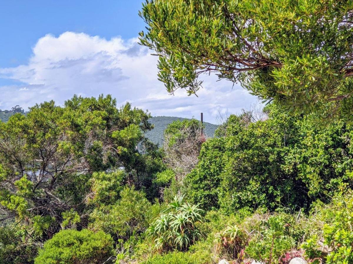 Villa Cape Garden Route Wildernis Dış mekan fotoğraf